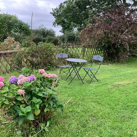 La Belle Etoile Proche De Granville * Ver (Manche)