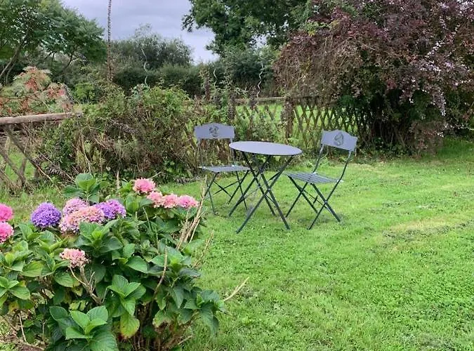 La Belle Etoile Proche De Granville * Ver (Manche)